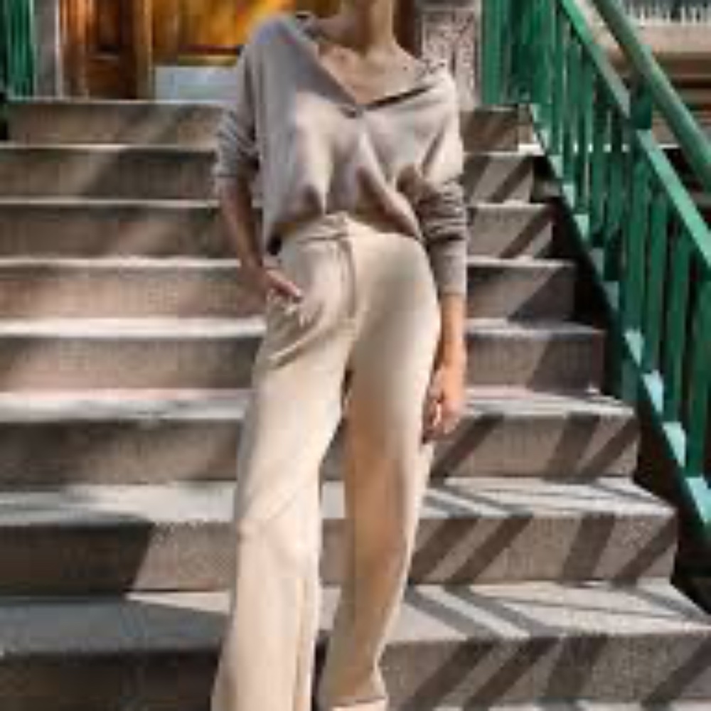 Aritzia NWT The Group by Babaton Talus Pant Size 4 Heather Natural Tan